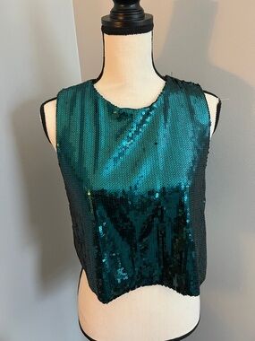Express Teal Sequin Sleeveless Crop Top